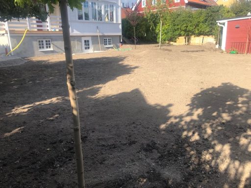 Utjämnad justerad gräsmatta